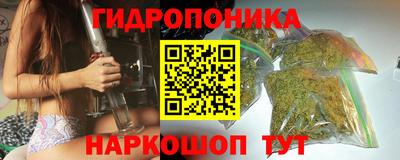 шишки Обь