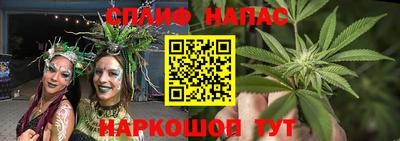 шишки Обь