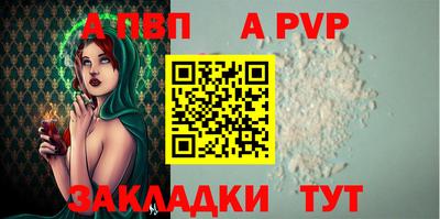 шишки Обь