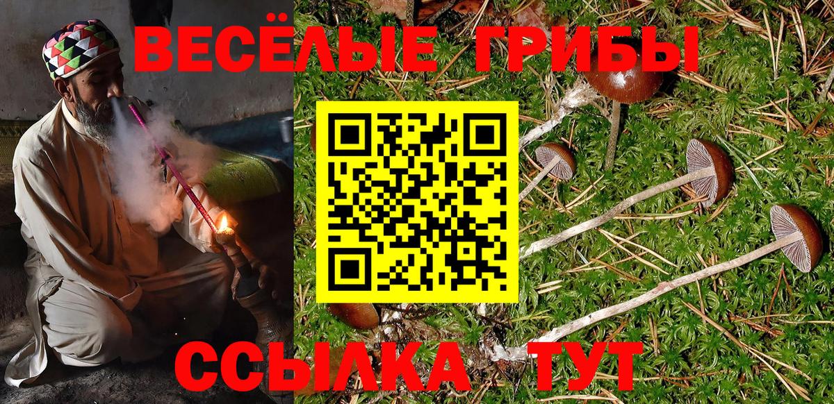 Галлюциногенные грибы Magic Shrooms Тихвин
