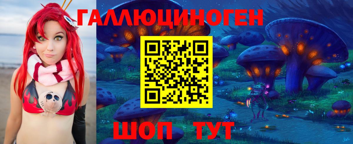 Галлюциногенные грибы GOLDEN TEACHER  Вход с VPN  Галлюциногенные грибы Psilocybe  Тихвин 